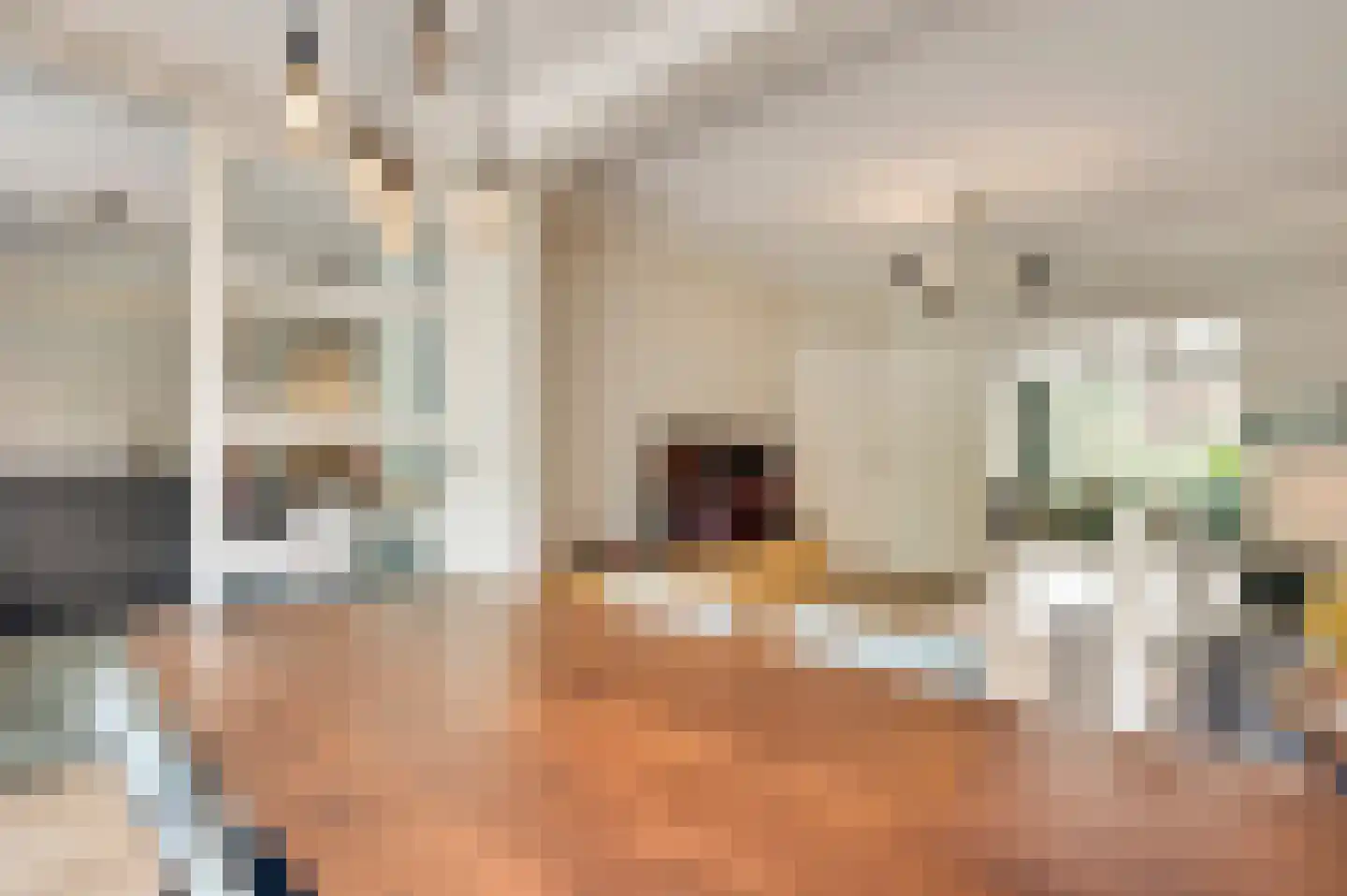 Potgieterstraat 6 Eindhoven thumbnail 13