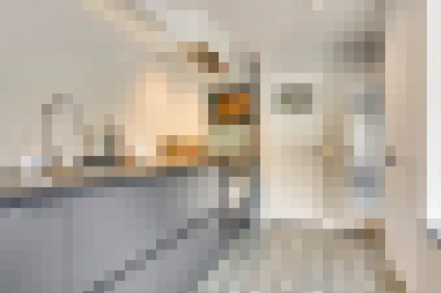 Potgieterstraat 6 Eindhoven thumbnail 14