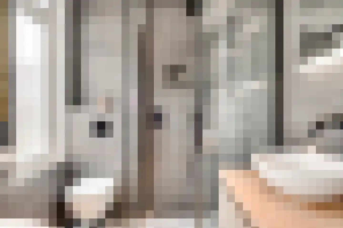 Potgieterstraat 6 Eindhoven thumbnail 27