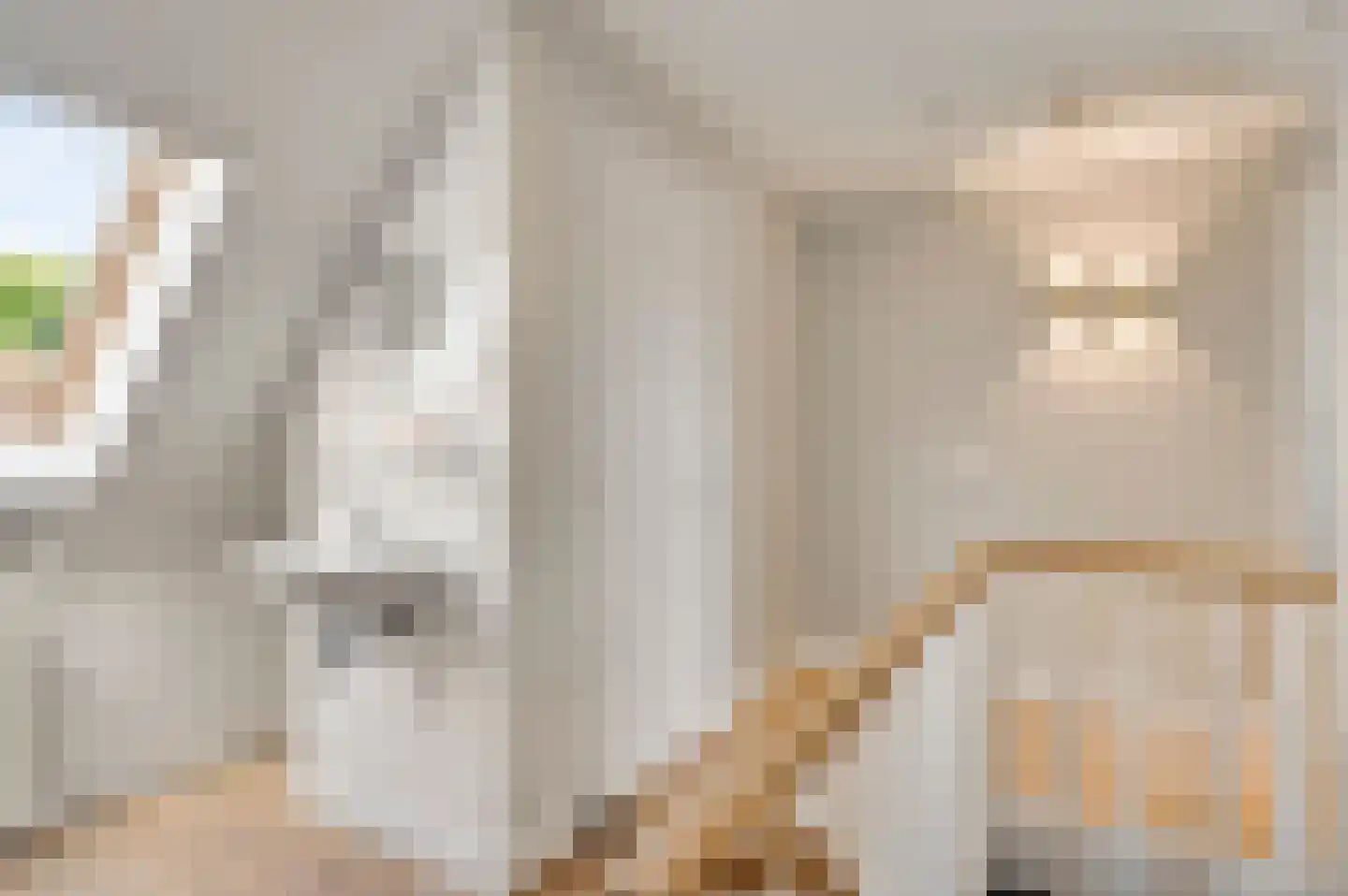 Potgieterstraat 6 Eindhoven thumbnail 29