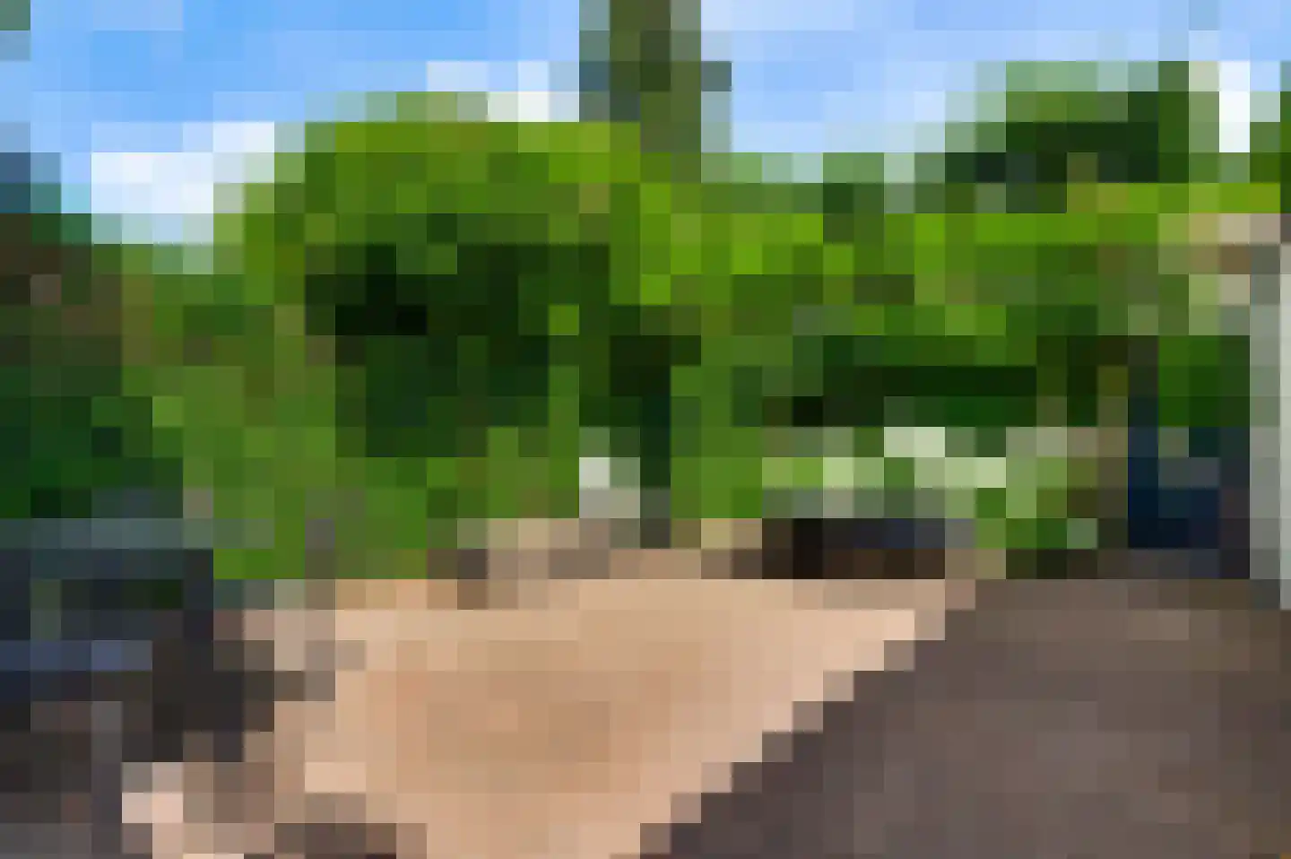 Potgieterstraat 6 Eindhoven thumbnail 38