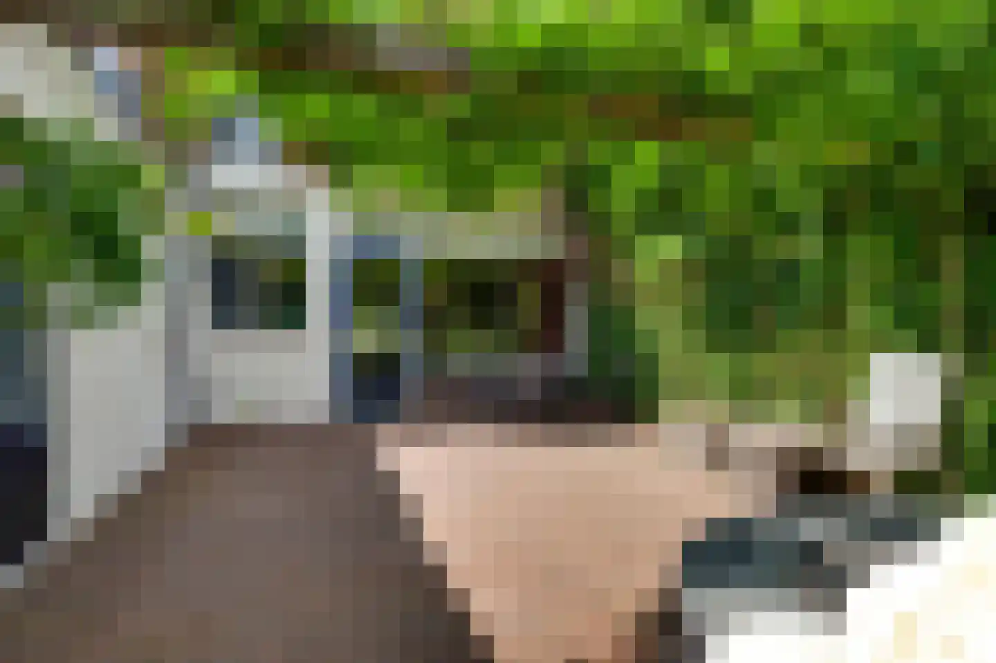 Potgieterstraat 6 Eindhoven thumbnail 40