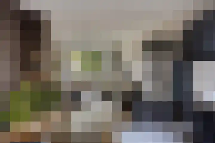 Potgieterstraat 6 Goor thumbnail 10