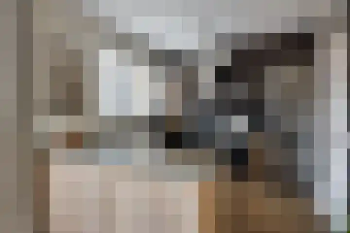 Potgieterstraat 6 Goor thumbnail 11