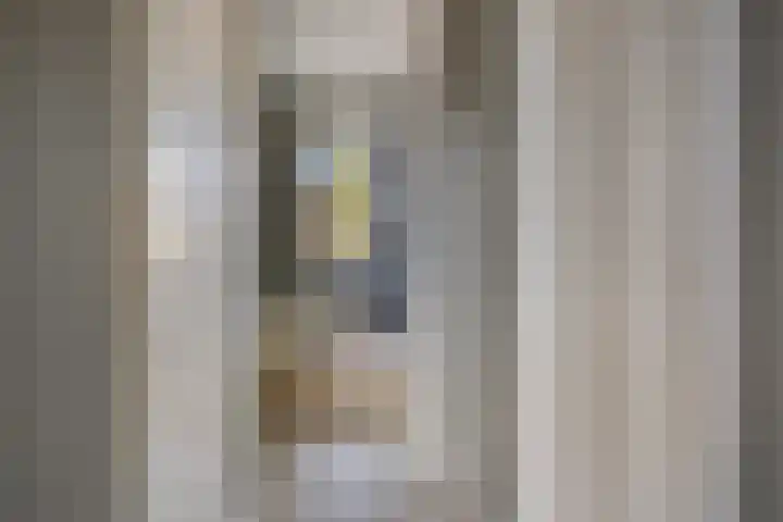 Potgieterstraat 6 Goor thumbnail 18