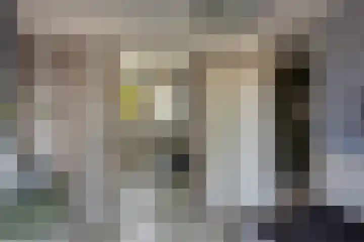 Potgieterstraat 6 Goor thumbnail 27