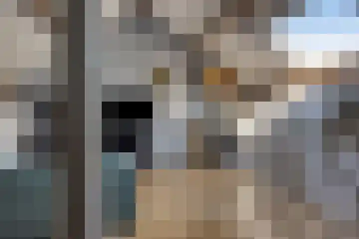 Potgieterstraat 6 Goor thumbnail 29