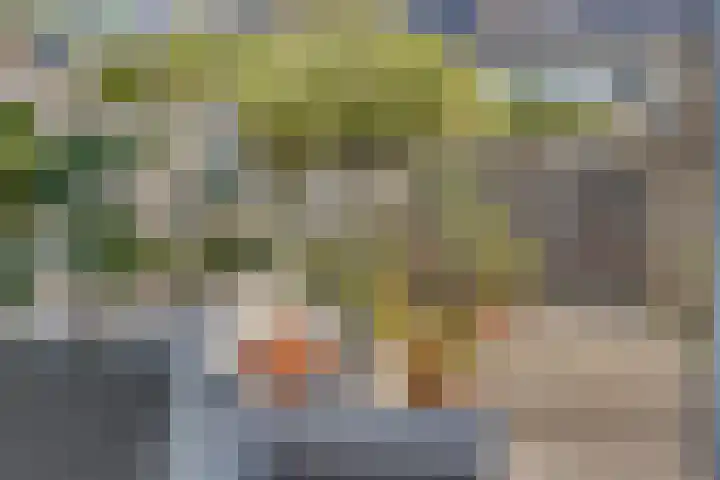 Potgieterstraat 6 Goor thumbnail 30