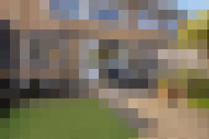 Potgieterstraat 6 Goor thumbnail 34