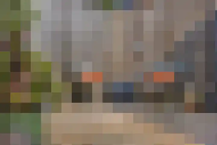 Potgieterstraat 6 Goor thumbnail 35