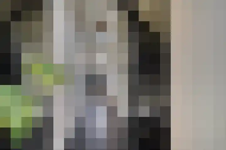 Potgieterstraat 6 Goor thumbnail 4