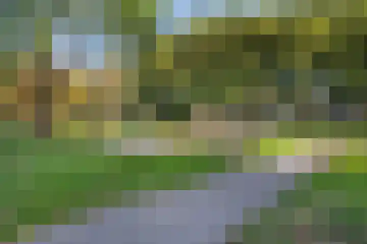 Potgieterstraat 6 Goor thumbnail 40