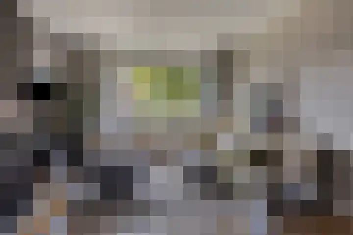 Potgieterstraat 6 Goor thumbnail 6