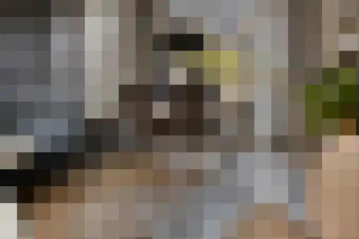 Potgieterstraat 6 Goor thumbnail 7