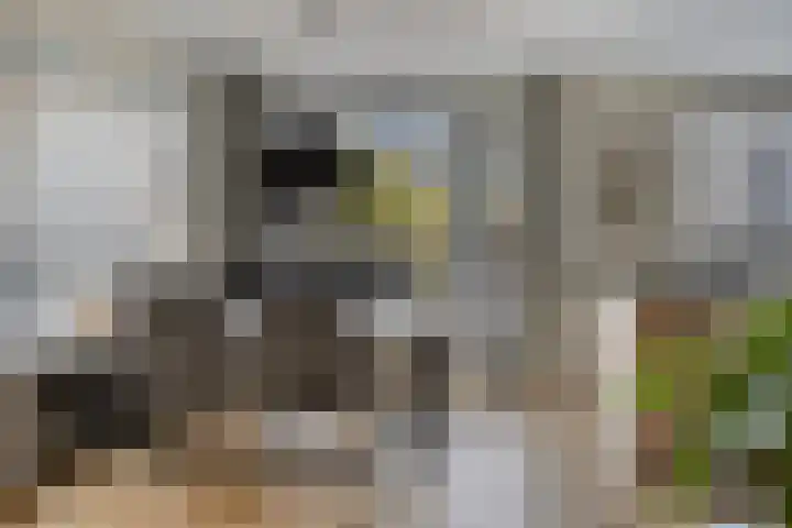 Potgieterstraat 6 Goor thumbnail 8