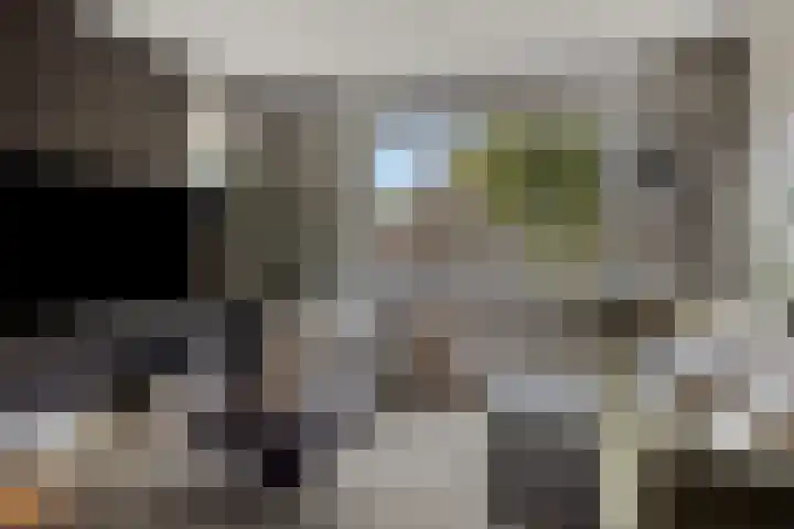 Potgieterstraat 6 Goor thumbnail 9
