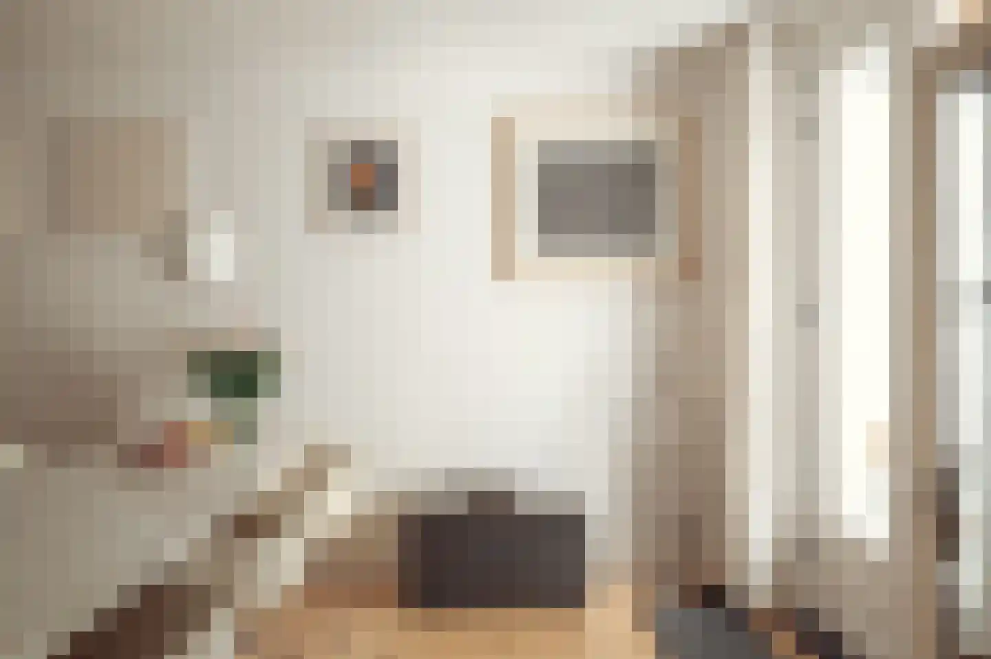 Potgieterstraat 61 H Amsterdam thumbnail 12