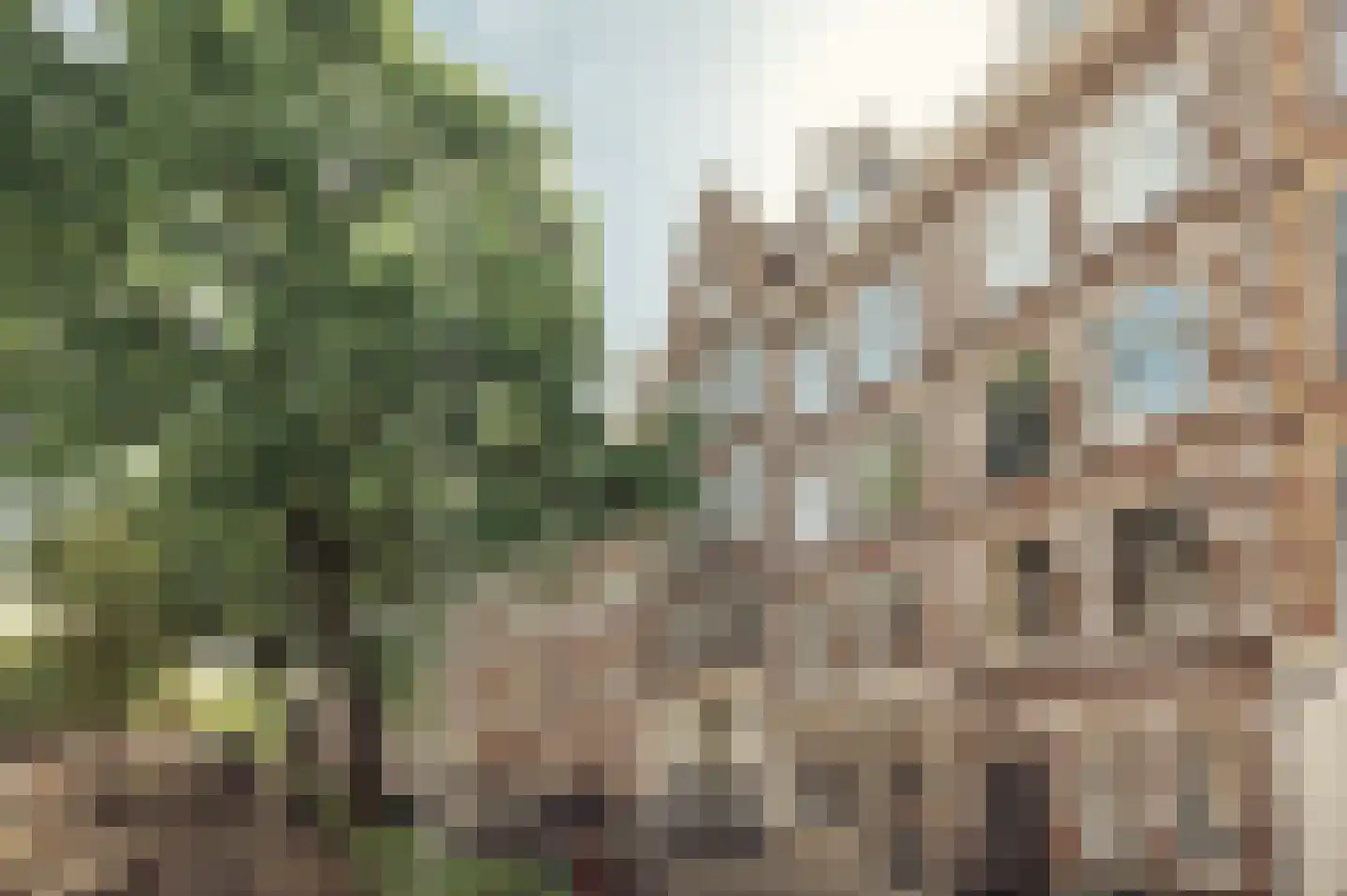 Potgieterstraat 61 H Amsterdam thumbnail 6
