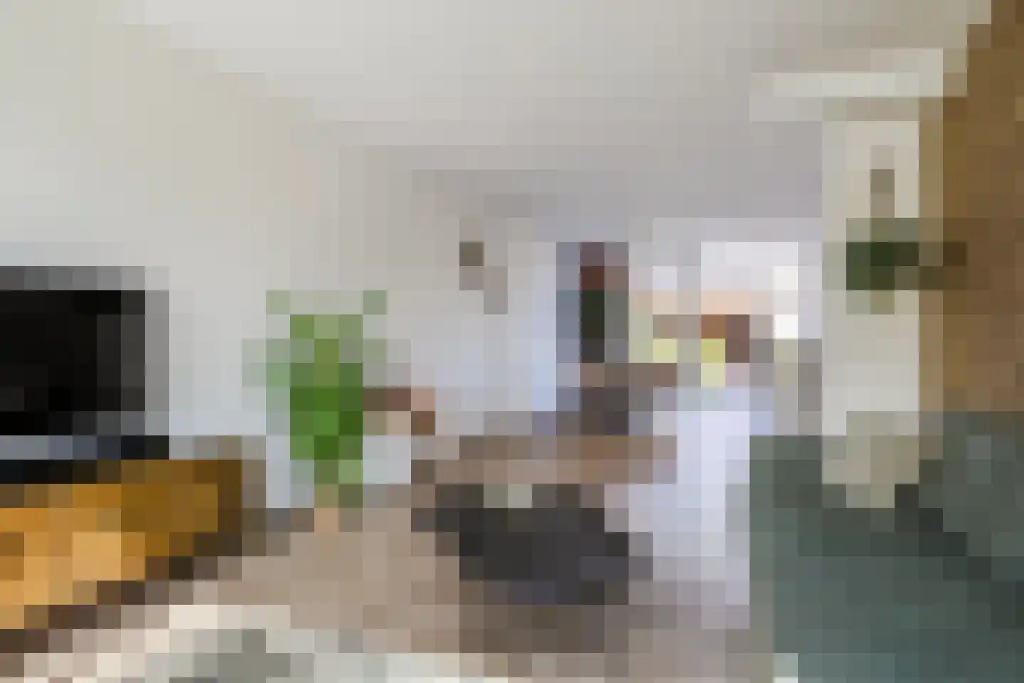 Potgieterstraat 9 Harderwijk thumbnail 11