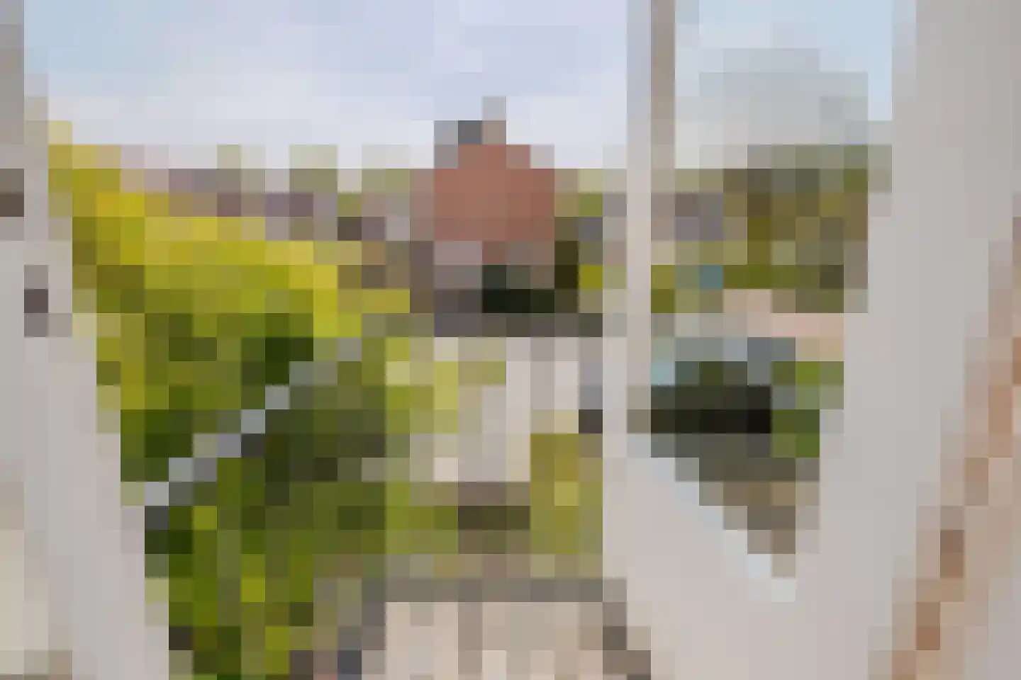 Potgieterstraat 9 Harderwijk thumbnail 23