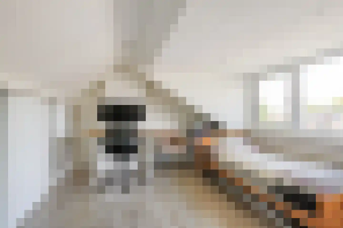 Potgieterstraat 9 Harderwijk thumbnail 31