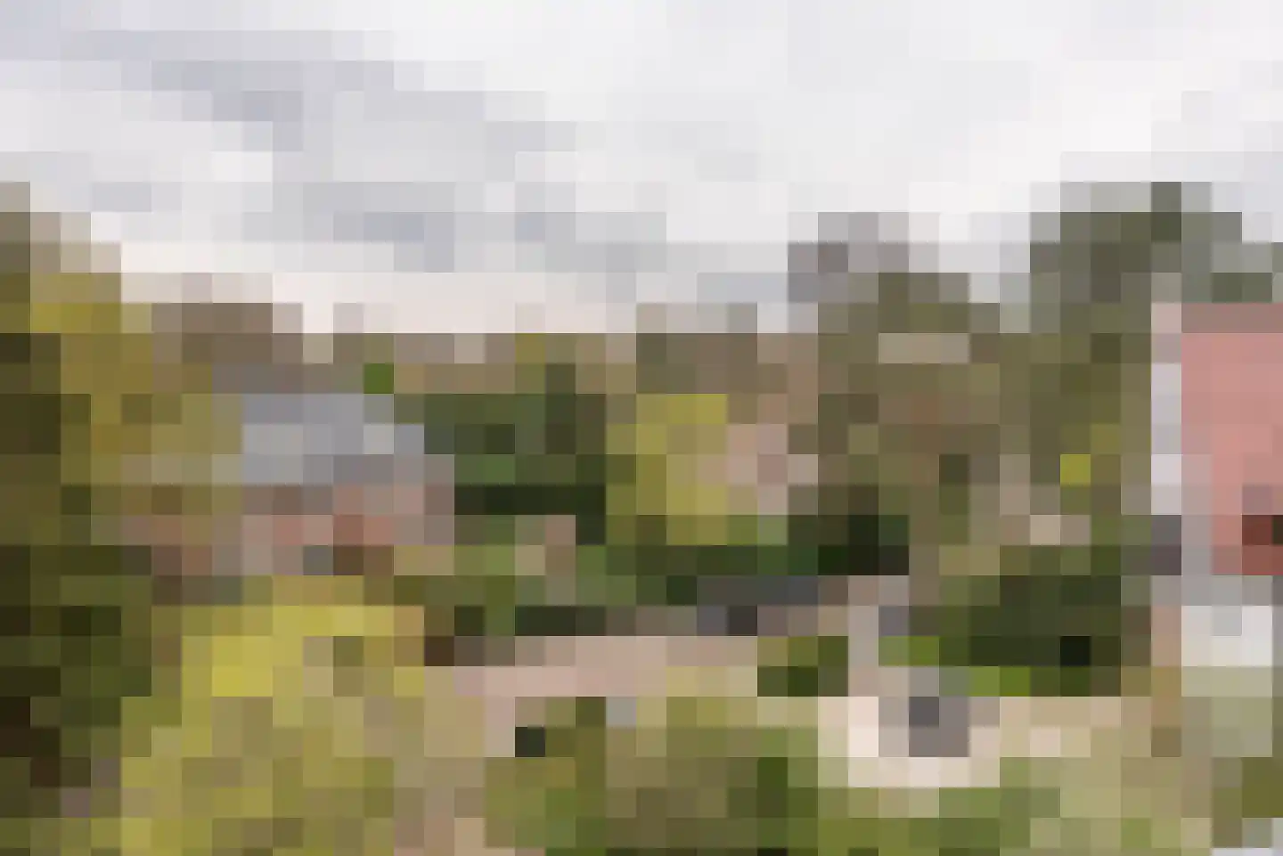 Potgieterweg 3 a Bloemendaal thumbnail 39