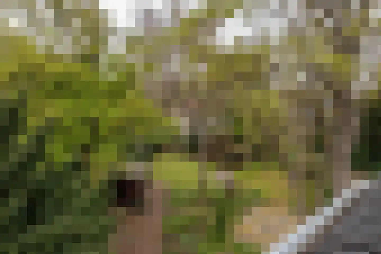 Potgieterweg 3 a Bloemendaal thumbnail 41