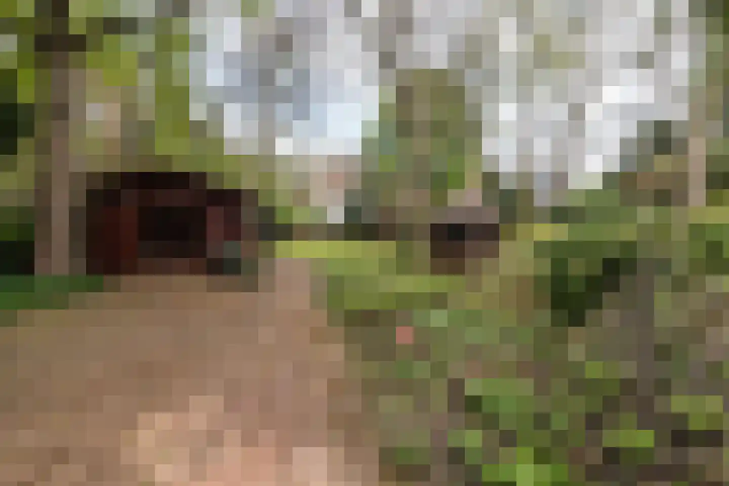 Potgieterweg 3 a Bloemendaal thumbnail 42
