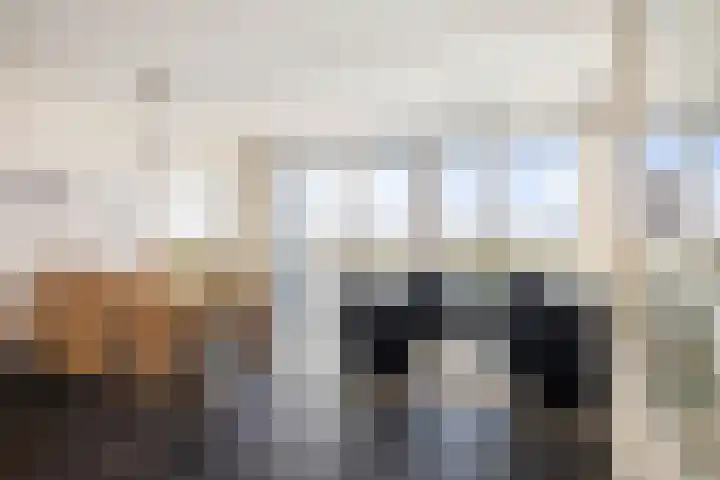 Pothoofd 184 Deventer thumbnail 6