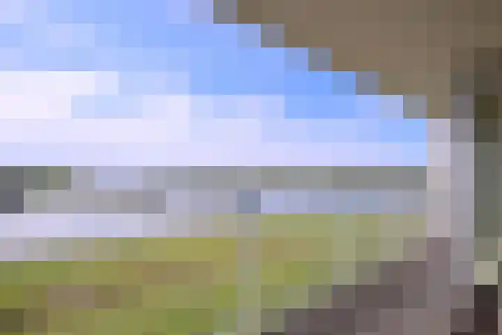 Pothoofd 204 Deventer thumbnail 10