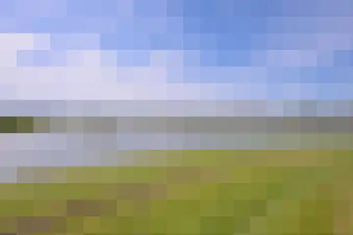 Pothoofd 204 Deventer thumbnail 11