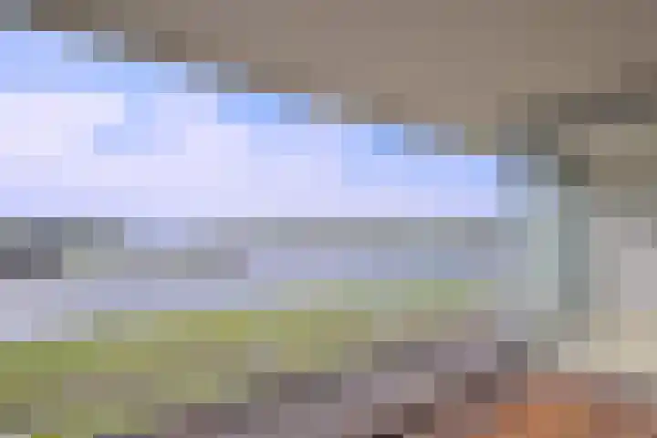 Pothoofd 204 Deventer foto 2