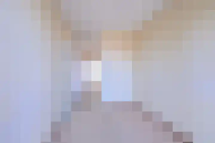 Pothoofd 204 Deventer thumbnail 21