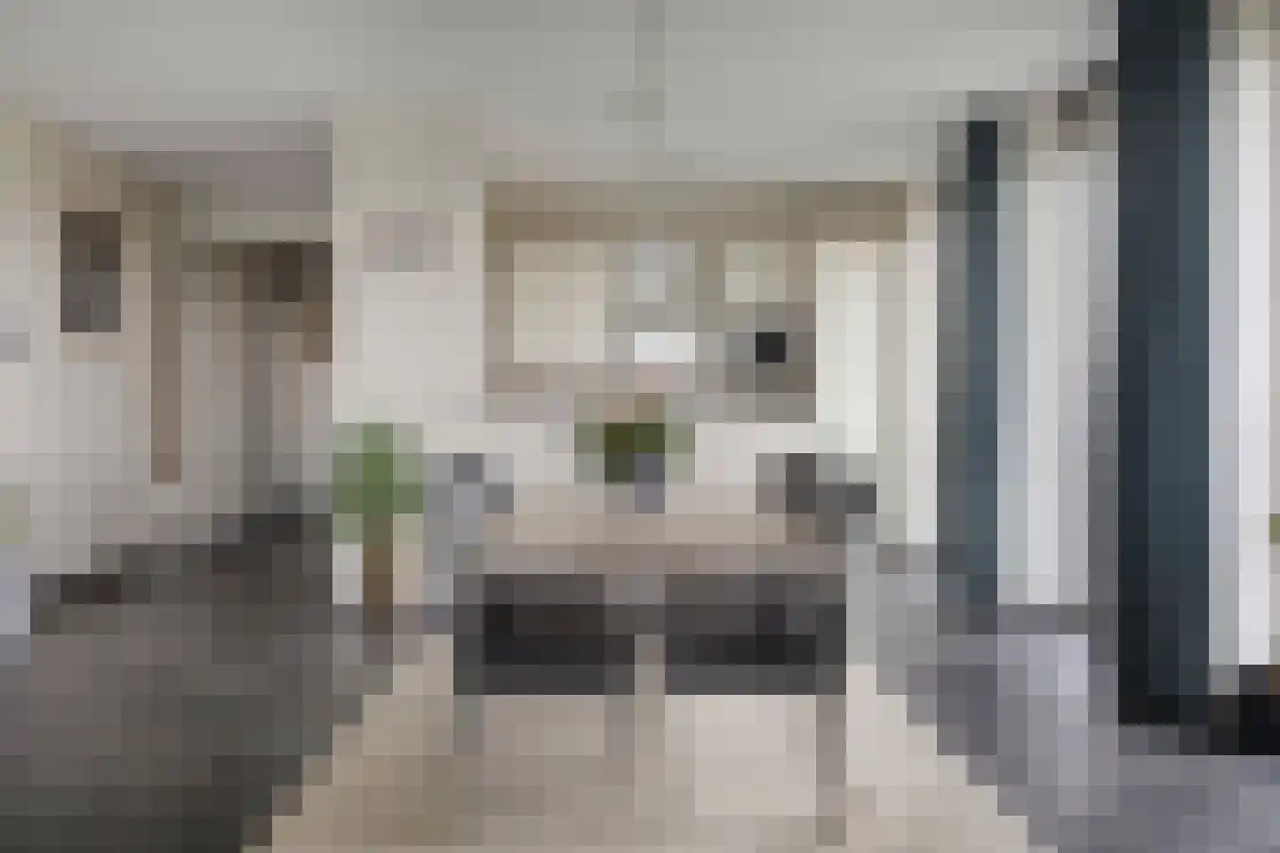 Pothoofd 246 Deventer thumbnail 13