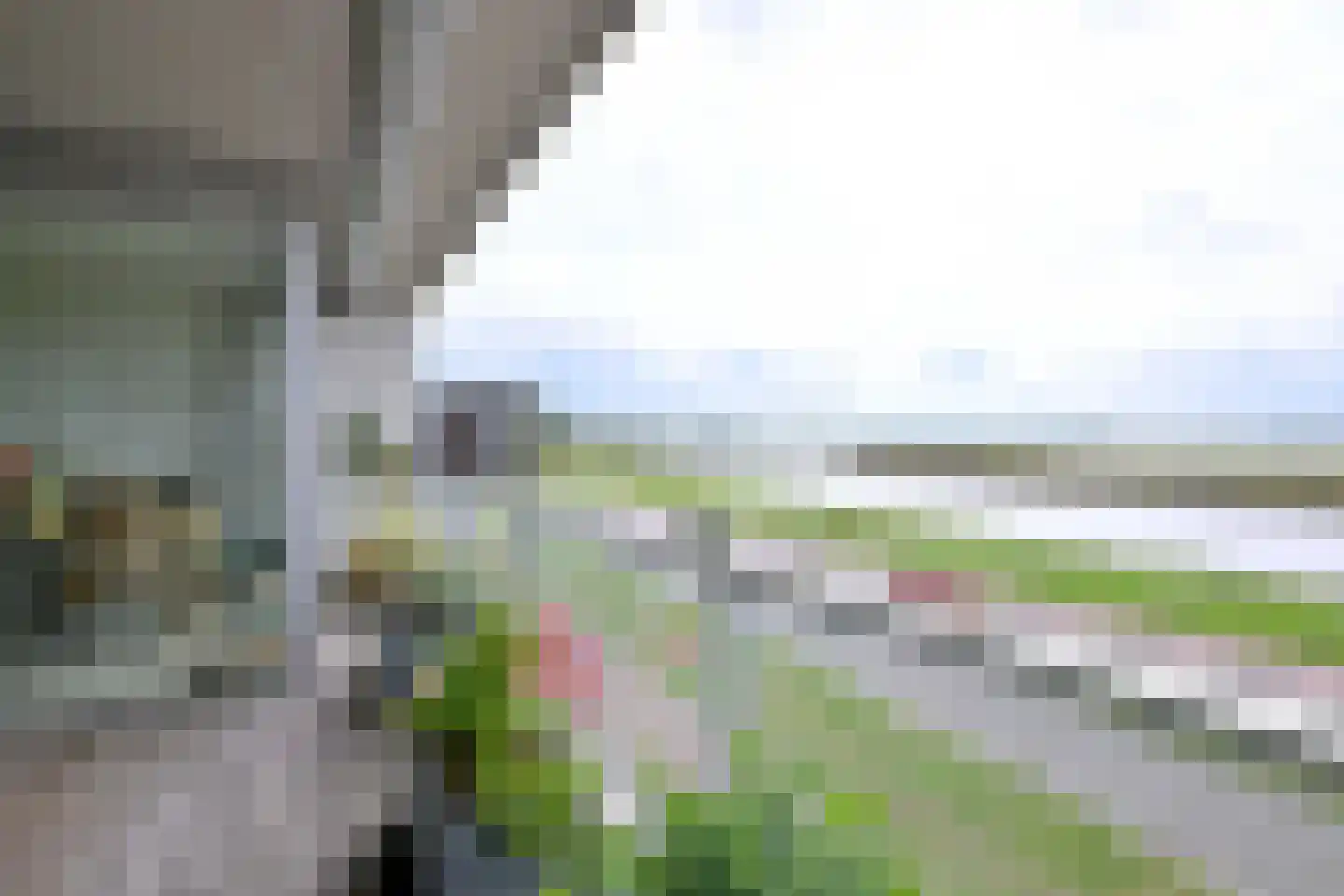 Pothoofd 309 Deventer thumbnail 21