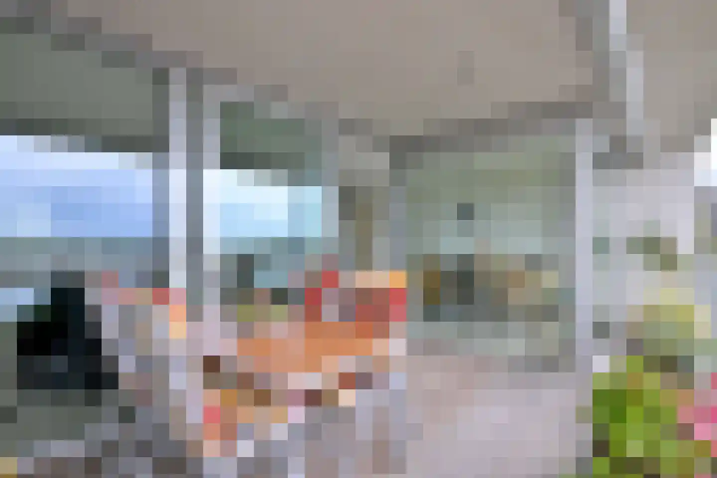 Pothoofd 309 Deventer thumbnail 22