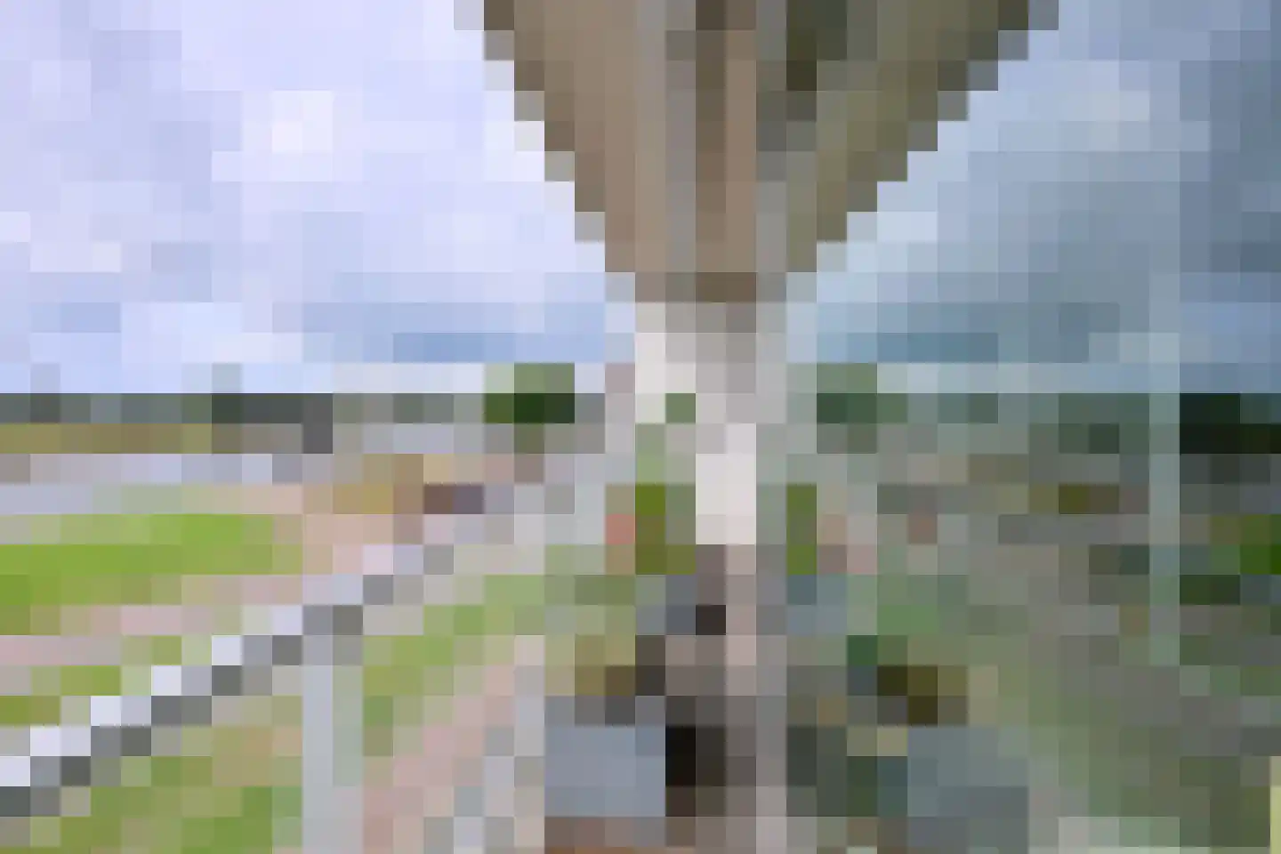Pothoofd 309 Deventer thumbnail 23
