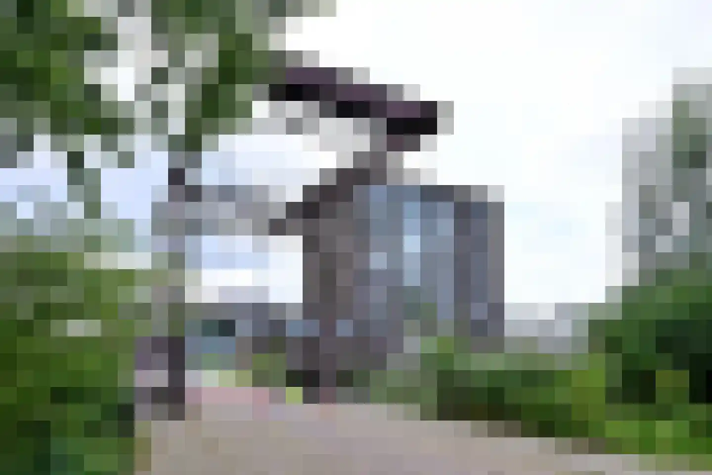 Pothoofd 309 Deventer thumbnail 8