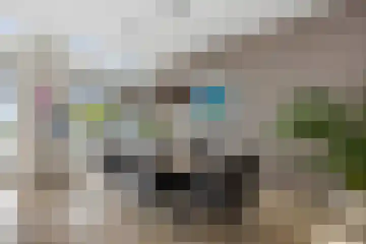 Pothoofd 339 Deventer thumbnail 10