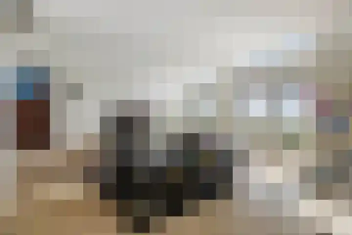 Pothoofd 339 Deventer thumbnail 11