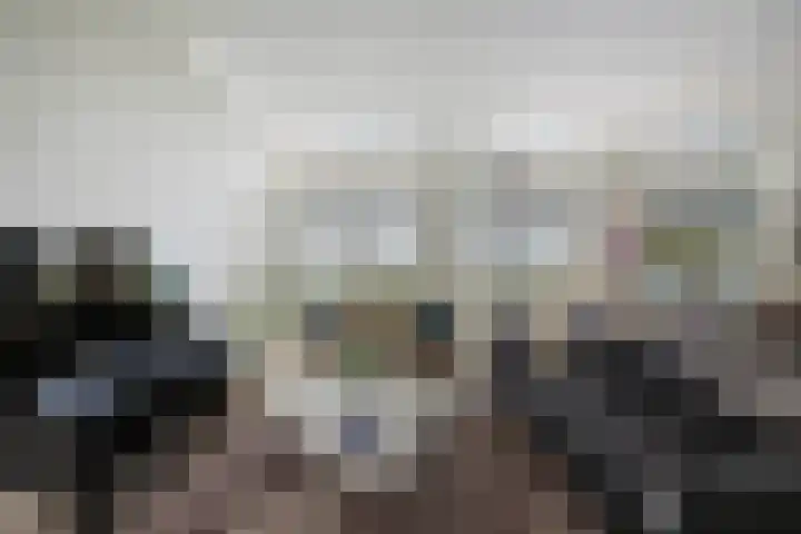 Pothoofd 339 Deventer thumbnail 12