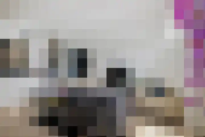 Pothoofd 339 Deventer thumbnail 15