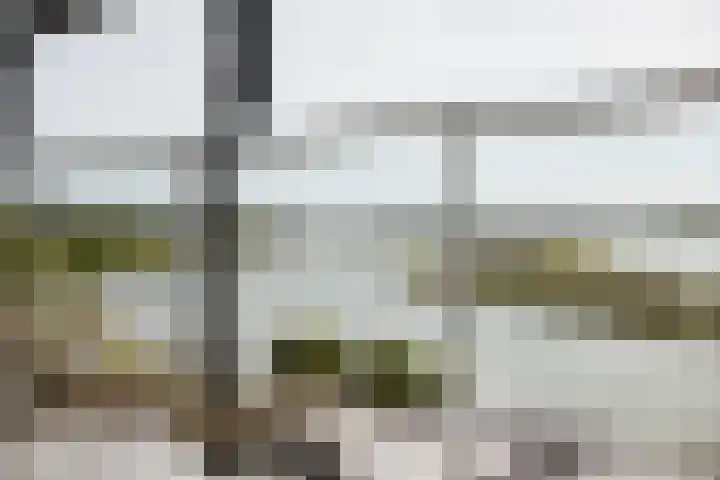 Pothoofd 339 Deventer thumbnail 19