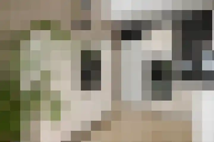 Pothoofd 339 Deventer thumbnail 21