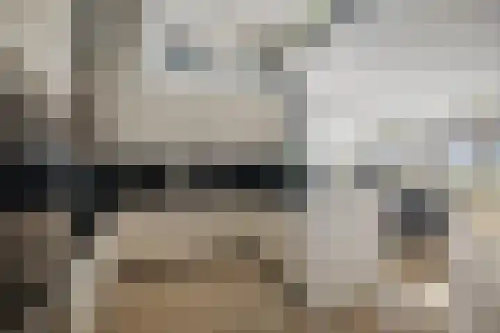 Pothoofd 339 Deventer thumbnail 22