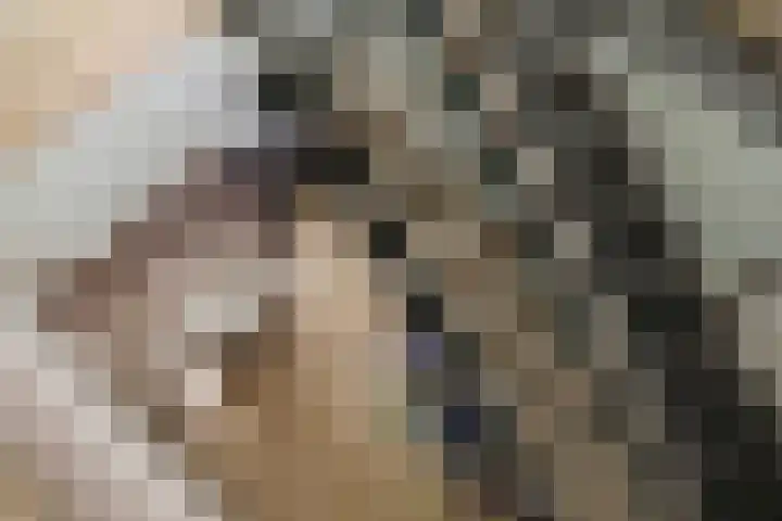Pothoofd 339 Deventer thumbnail 34