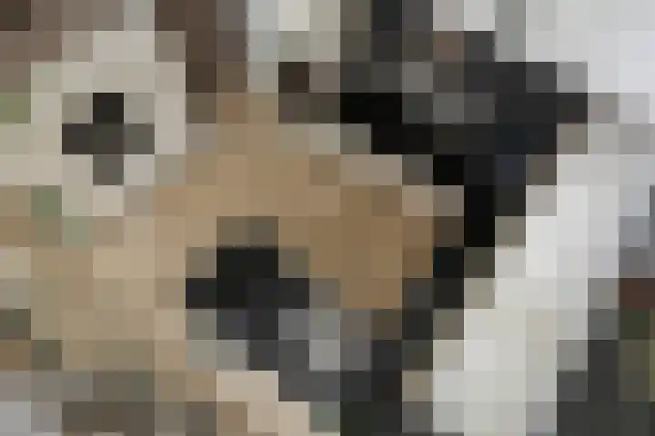 Pothoofd 339 Deventer thumbnail 35