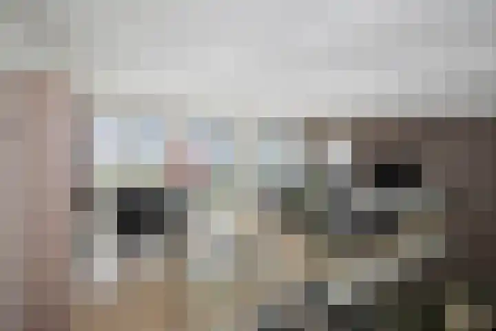 Pothoofd 339 Deventer thumbnail 36
