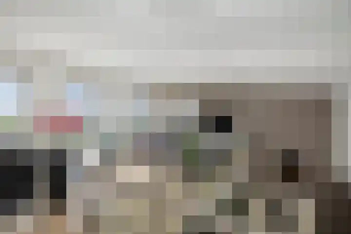 Pothoofd 339 Deventer thumbnail 42