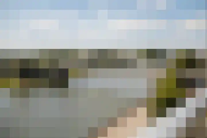 Pothoofd 339 Deventer thumbnail 5